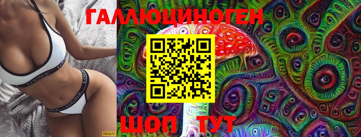 Галлюциногенные грибы ЛСД  Галлюциногенные грибы MAGIC MUSHROOMS  продажа наркотиков  Вход с VPN  Новокубанск 